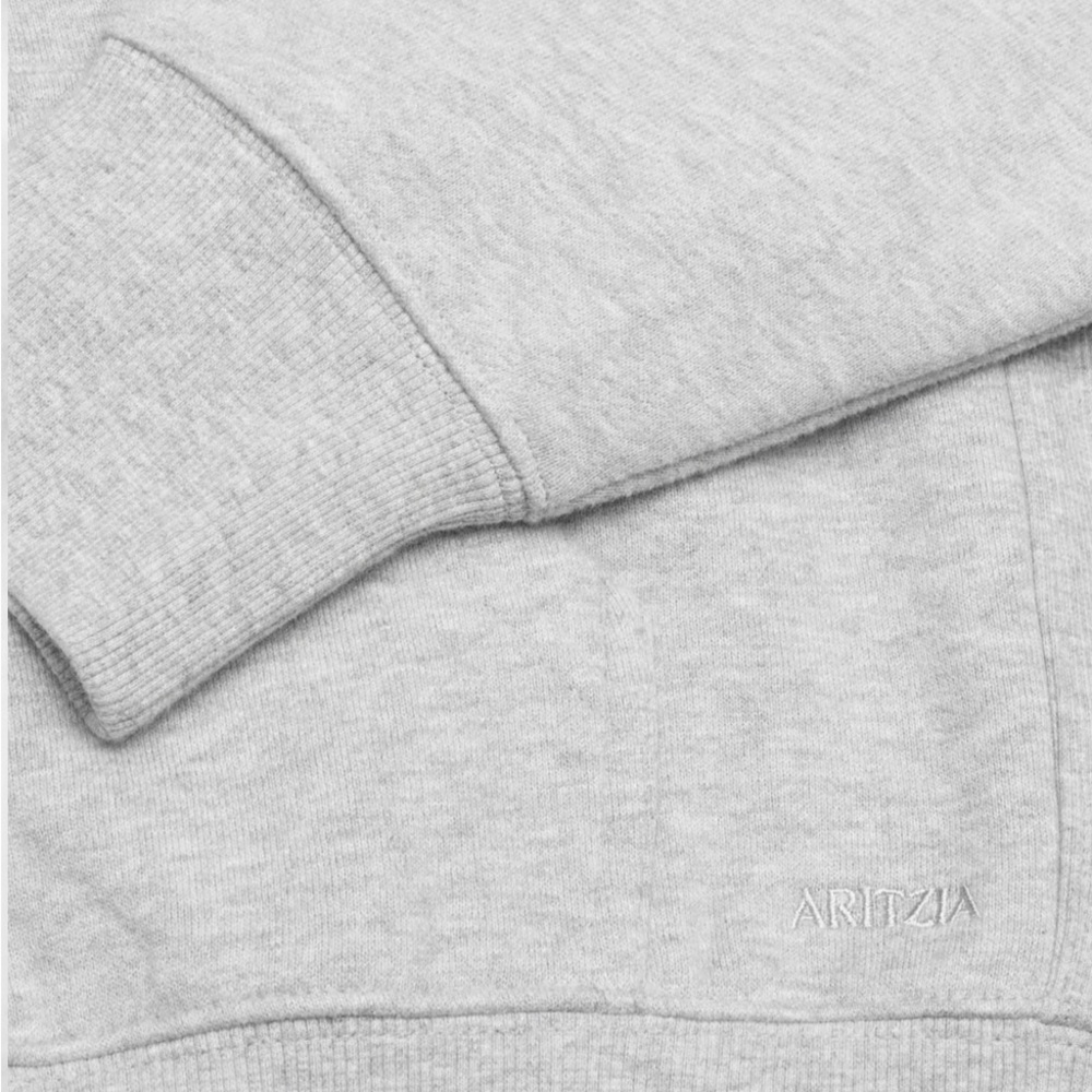 Aritzia Gray Sweatshirt